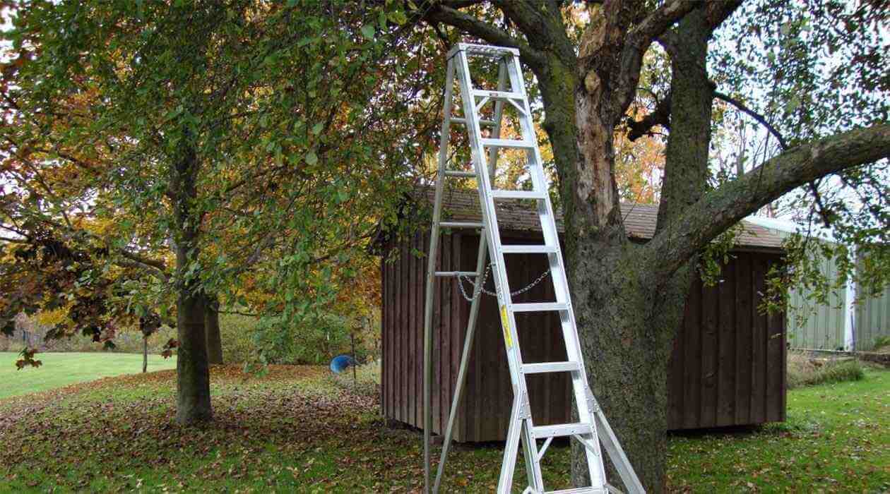 Single Aluminium Alloy Ladders